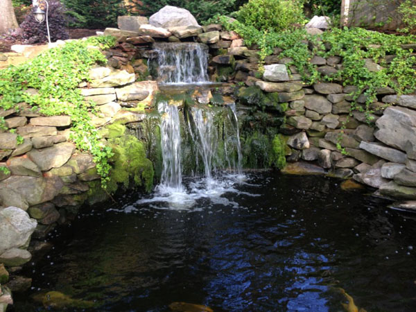 Backyard Pond Design: Koi Pond Designs: Waterfall Design ...