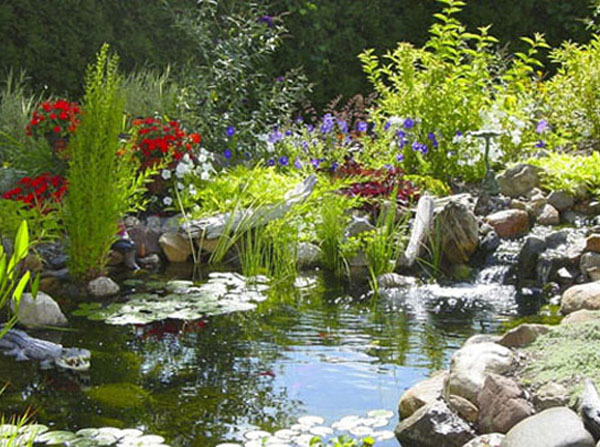 Natural backyard garden pond- Pacific Ponds