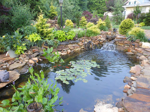 Pond Construction - Backyard Pond Design Examples - Pacific Ponds & Design