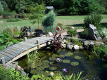 Pond Ideas: Backyard ponds with Bridge: Residential Pond building