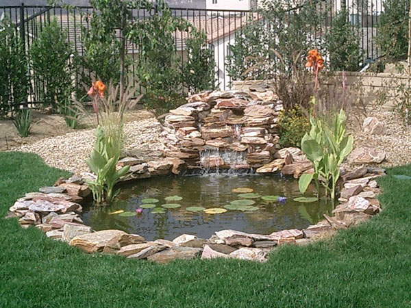 Koi Ponds: Residential Pond Construction: Koi Pond builders