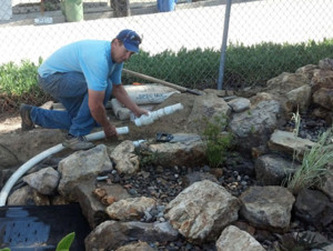 What is pond maintenance? Why is it important?