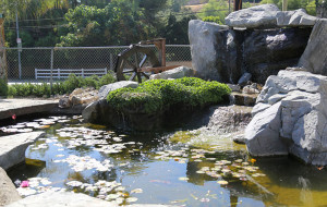 Artificial Rock Pond and Waterfall