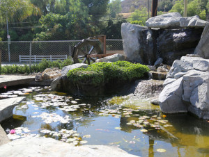 Artificial Rock Pond and Waterfall