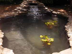 Flagstone pond