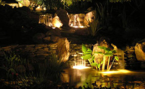 Lighting in your pond
