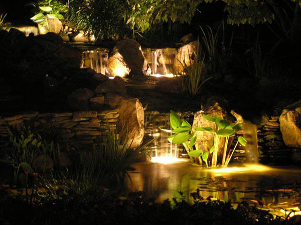 Pond solar deals lights