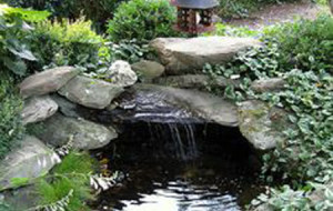 Pond with cave