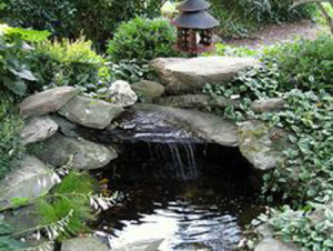 Pond with cave