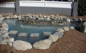 Pond with stepping stone bridge