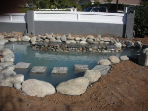 Pond with stepping stone bridge