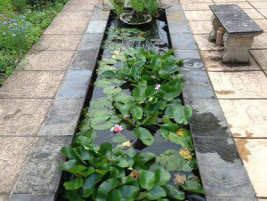 Commercial Ponds: contemporary pond style