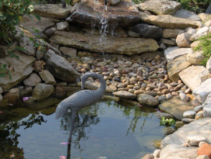 Pond with turtle island