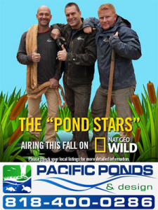 Aquascape + Pond Stars = Pacific Ponds and Design and Certified Aquascape Contractors