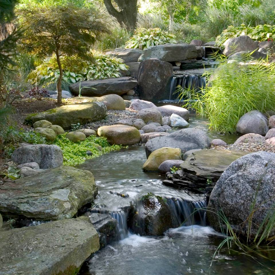 8 things to consider before you build a pond