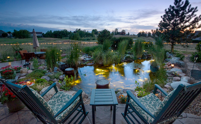 8 things to consider before you build a pond