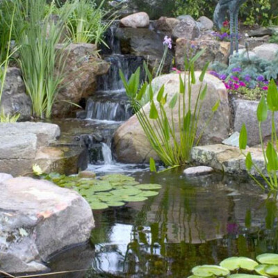 Pond Ideas: Pond Construction Designs - Pacific Ponds & Design - Custom ...