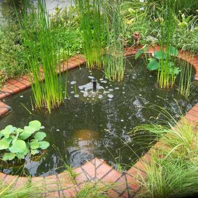 Pond Ideas: Pond Construction Designs - Pacific Ponds & Design - Custom ...